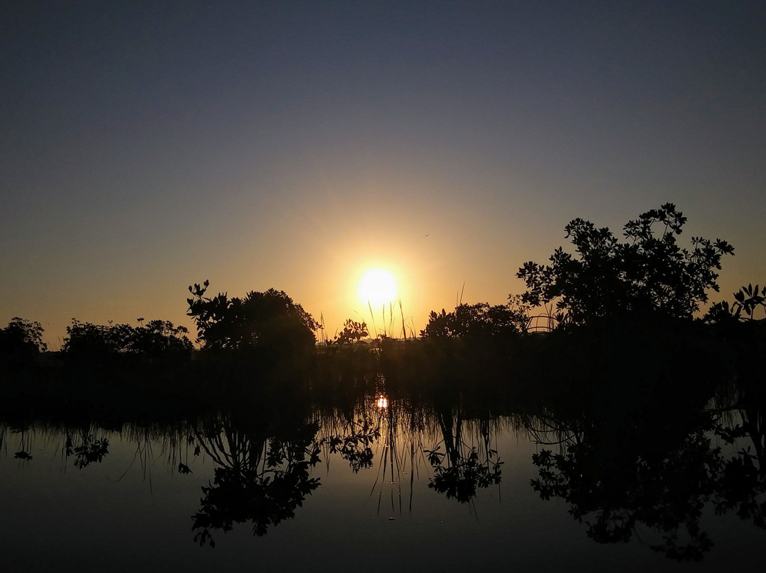 Jenny's Eco Everglades Wilderness Tours景点图片