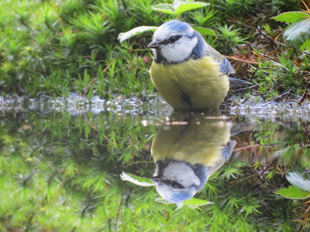 Viva la Veluwe Bed & Breakfast主图