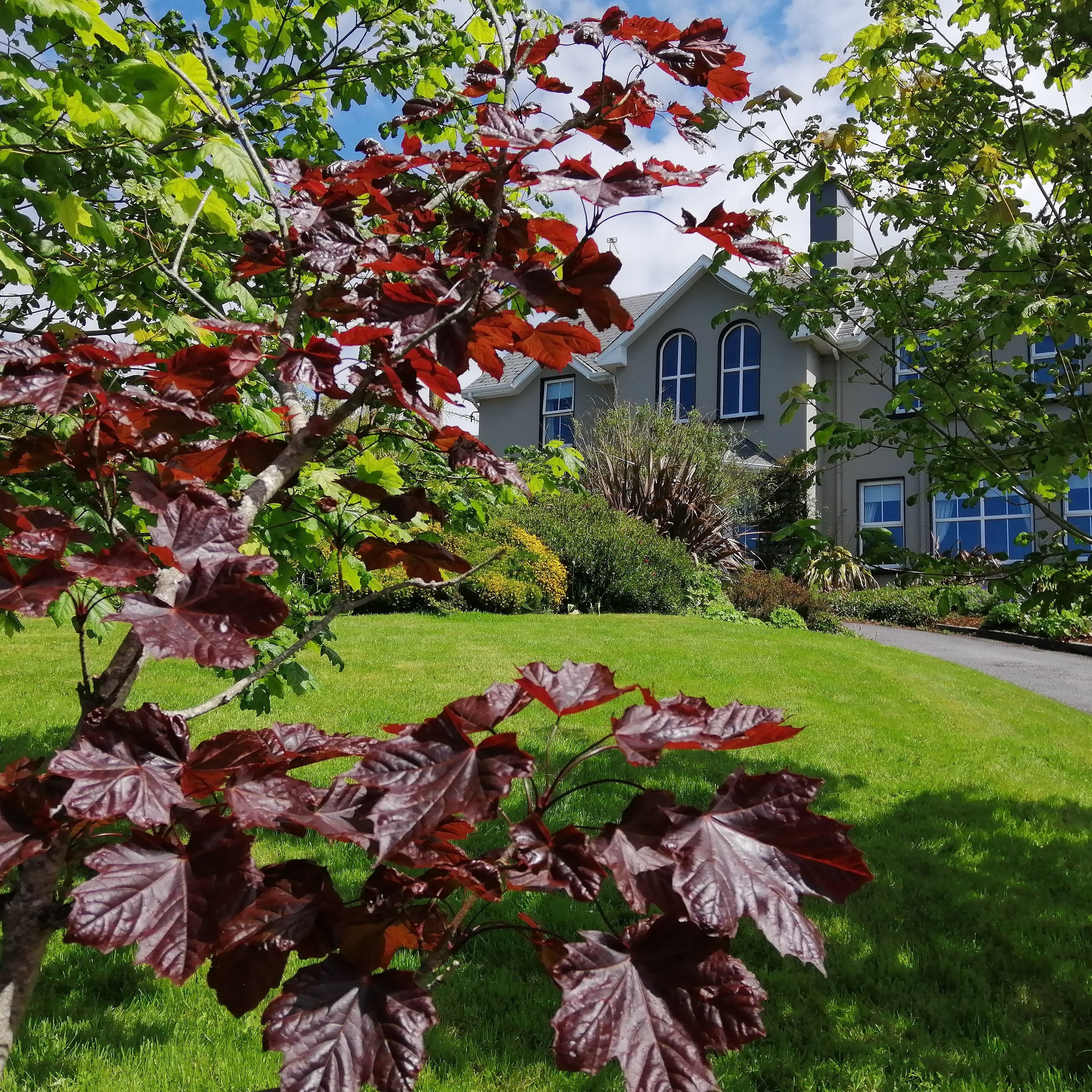 Apartments at Ballinsheen House & Gardens-官方