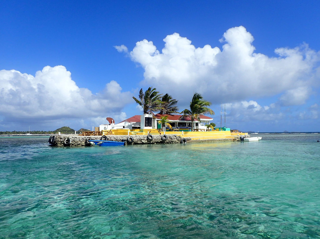 Simply Carriacou Island Tours景点图片