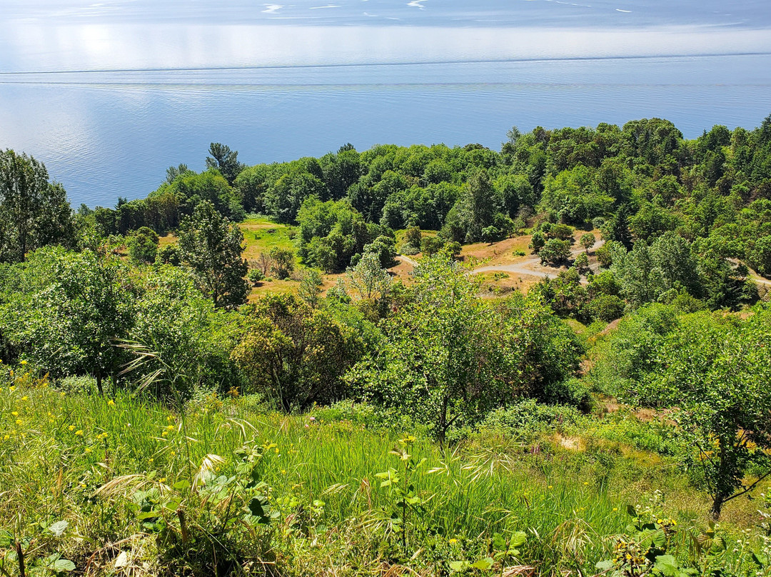 Maury Island Marine Park-Vashon必去景点