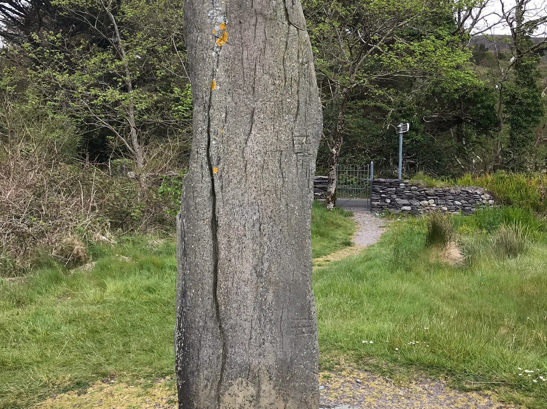 Wild Derrynane Walking Tours-Caherdaniel必去景点