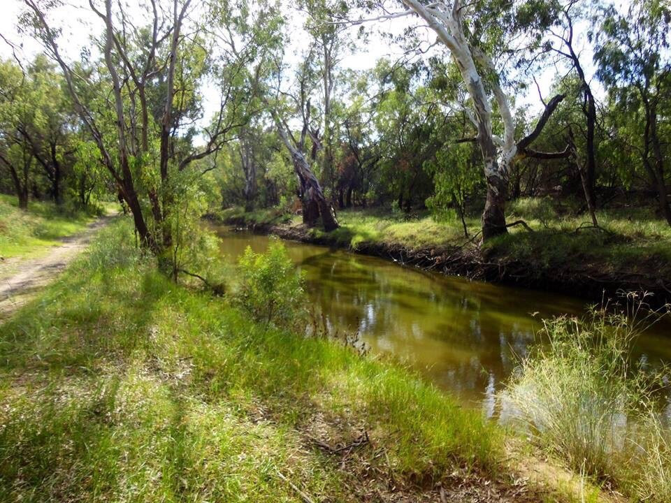 Gulargambone River Walk景点图片