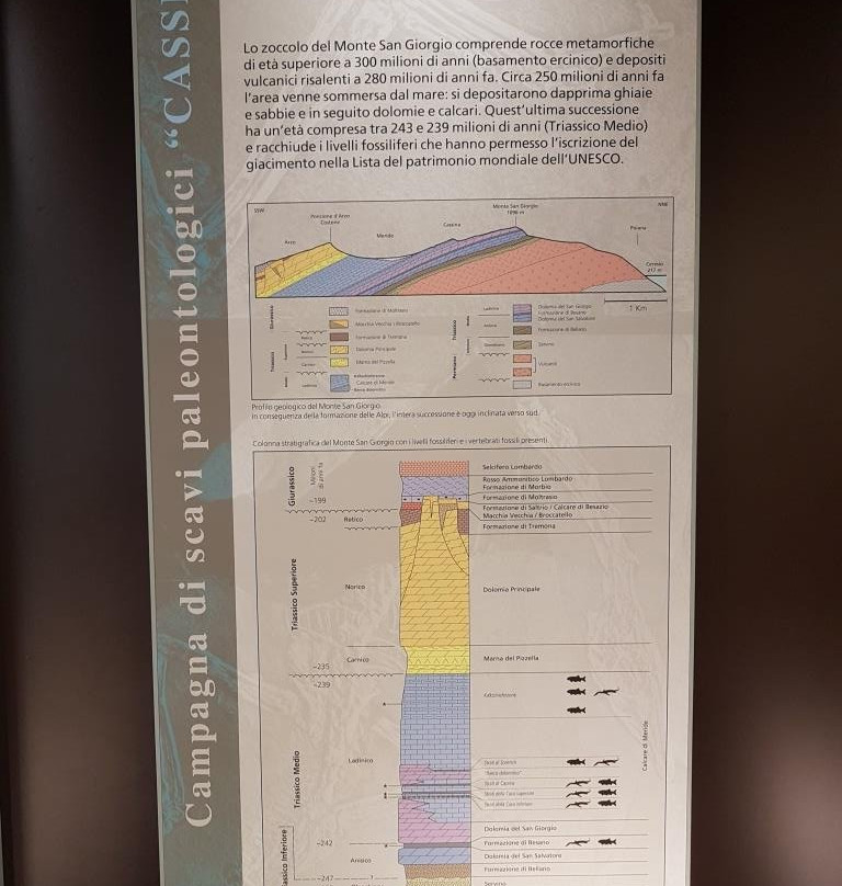 Museo Cantonale di Storia Naturale景点图片