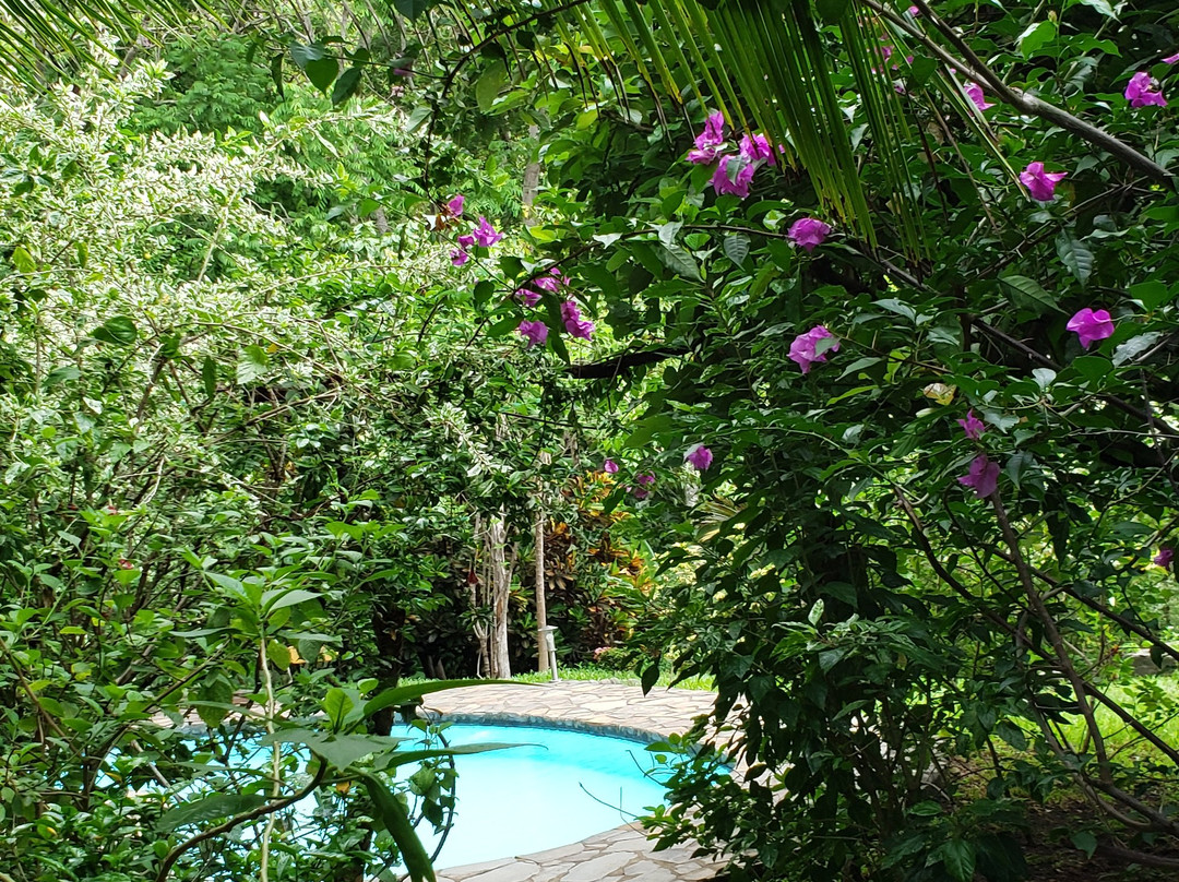 Tiriguro Lodge主图