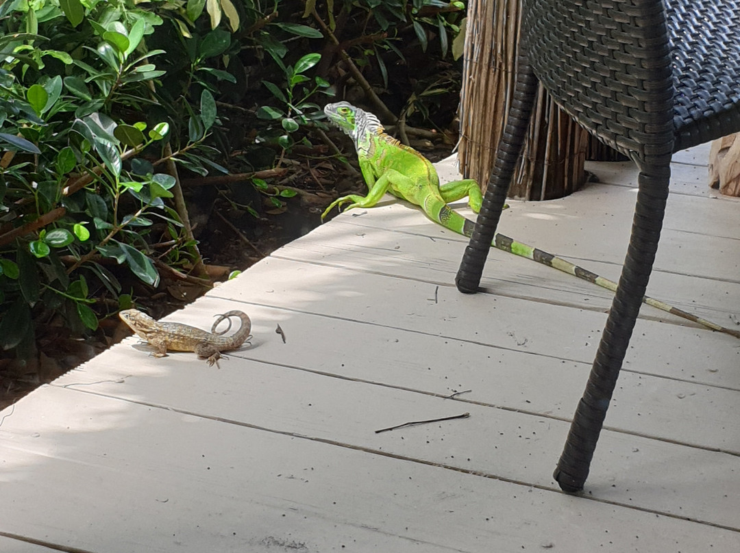 大西洋湾渡假村主图