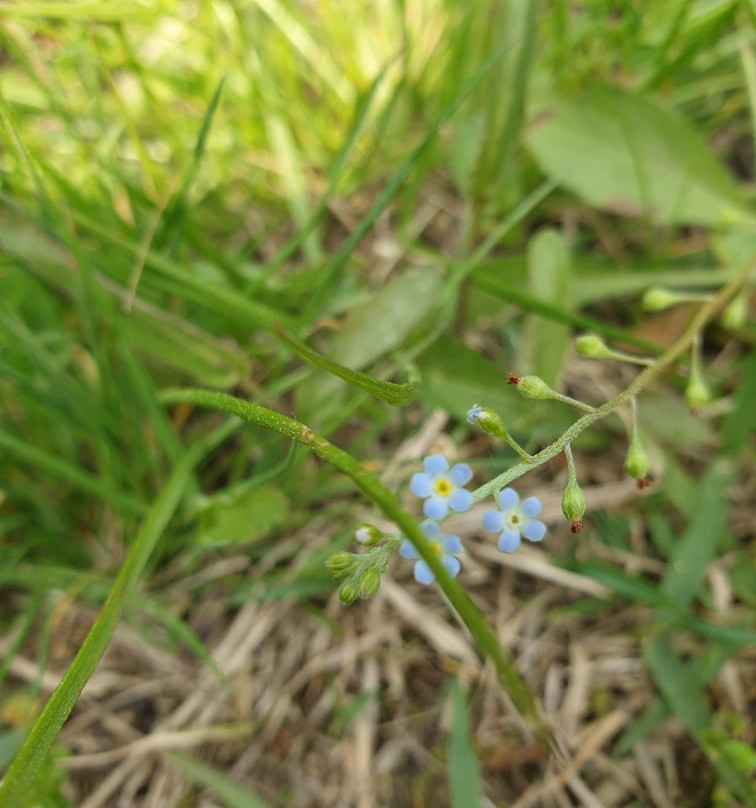 Yungneung Royal Tomb & Geolleung Royal Tomb-华城市必去景点