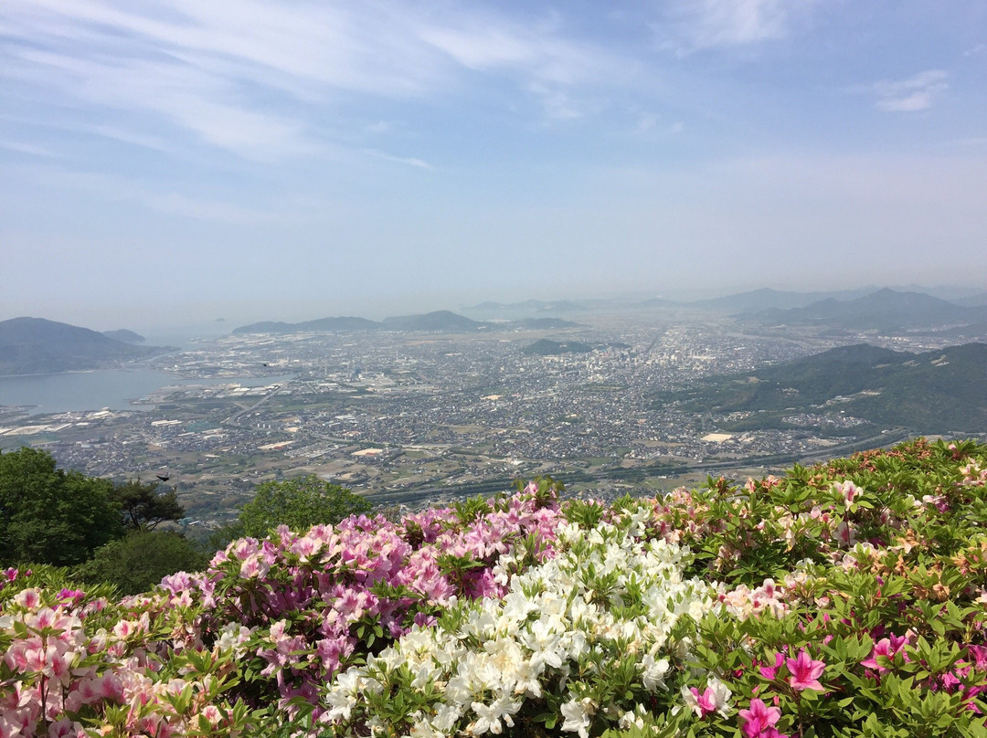 Ohira Mountaintop Park景点图片