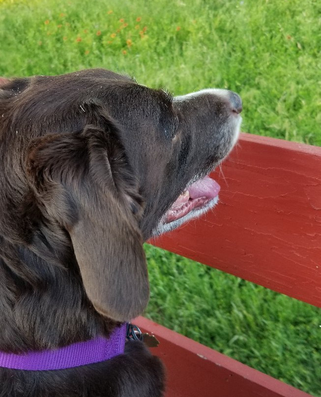 Eagle Eye Ranch Carriage Company-Glen Rose必去景点