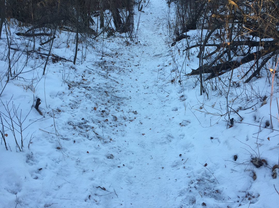 Chief Whitecap Waterway-萨斯卡通必去景点