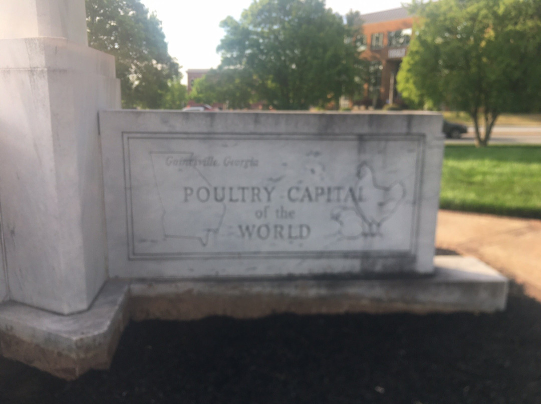 Poultry Capital of the World Monument-盖恩斯维尔必去景点