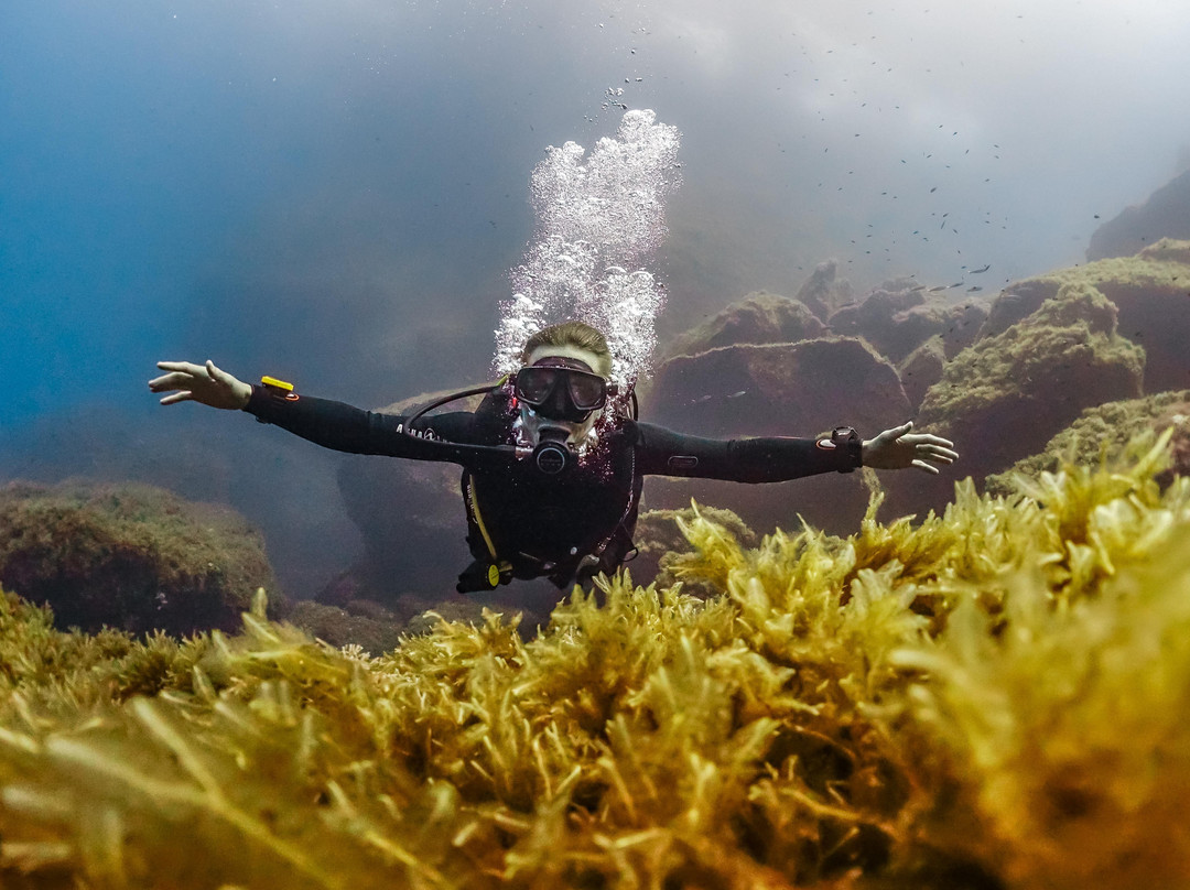 Mocean Images-Xlendi必去景点