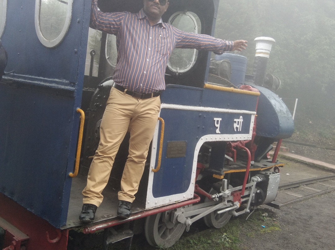Darjeeling Toy Train景点图片