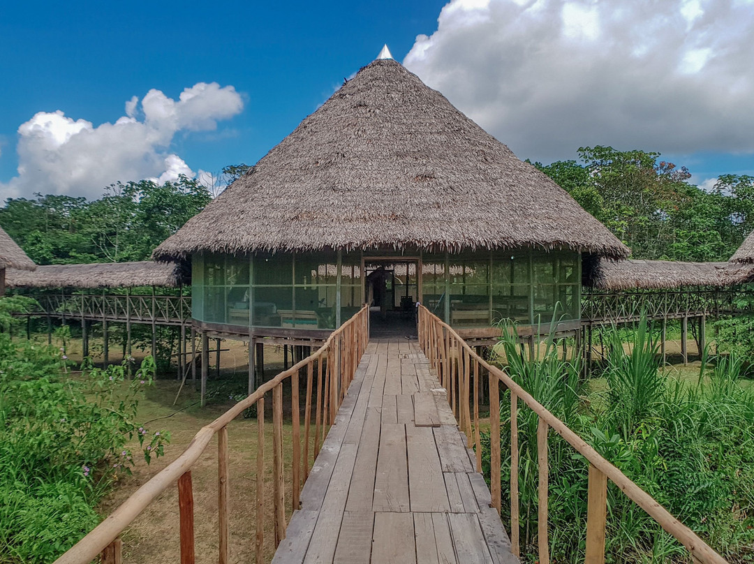 Lupuna Jungle Tours主图