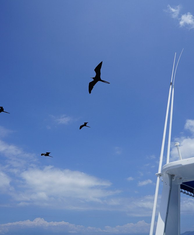 GreenGo Travel-基多必去景点