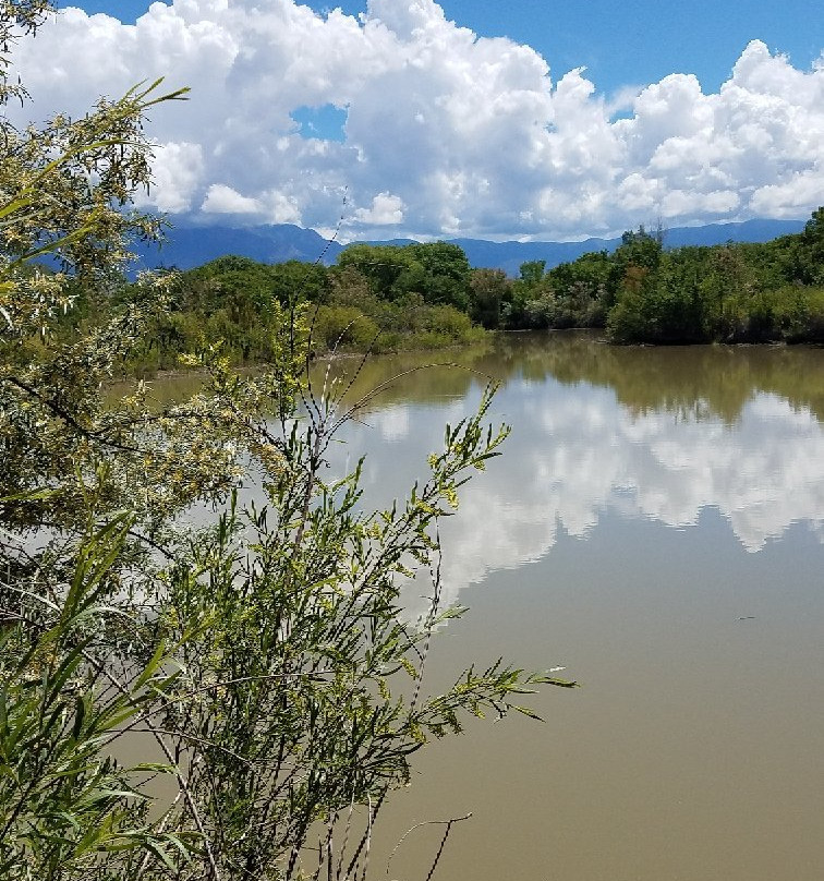 Bernalillo Open Space-阿尔伯克基必去景点