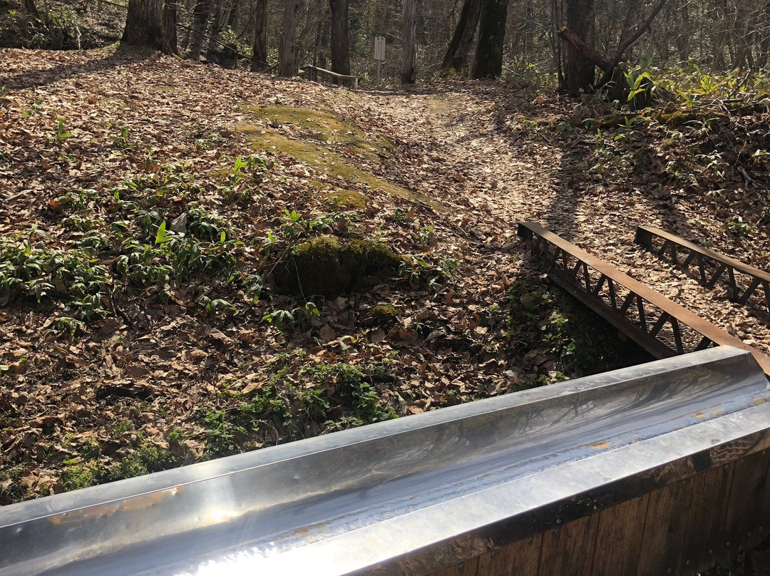 Izuminomori Raiun Park-斜里町必去景点