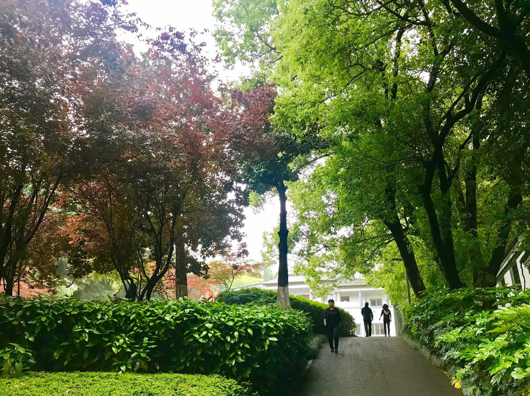 赭山风景区-芜湖必去景点