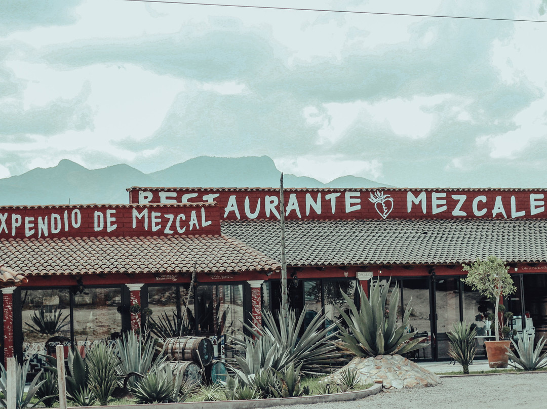 Palenque Mal De Amor-Tlacolula必去景点