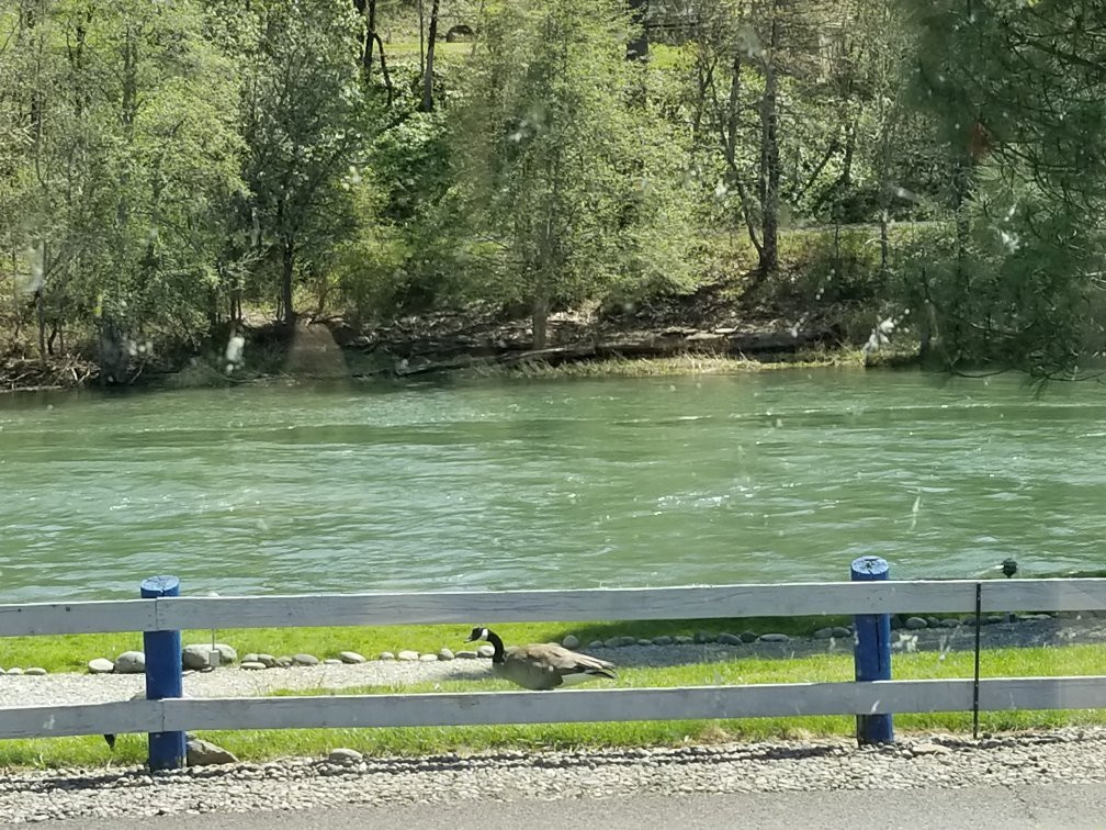 Rogue River Rv Park