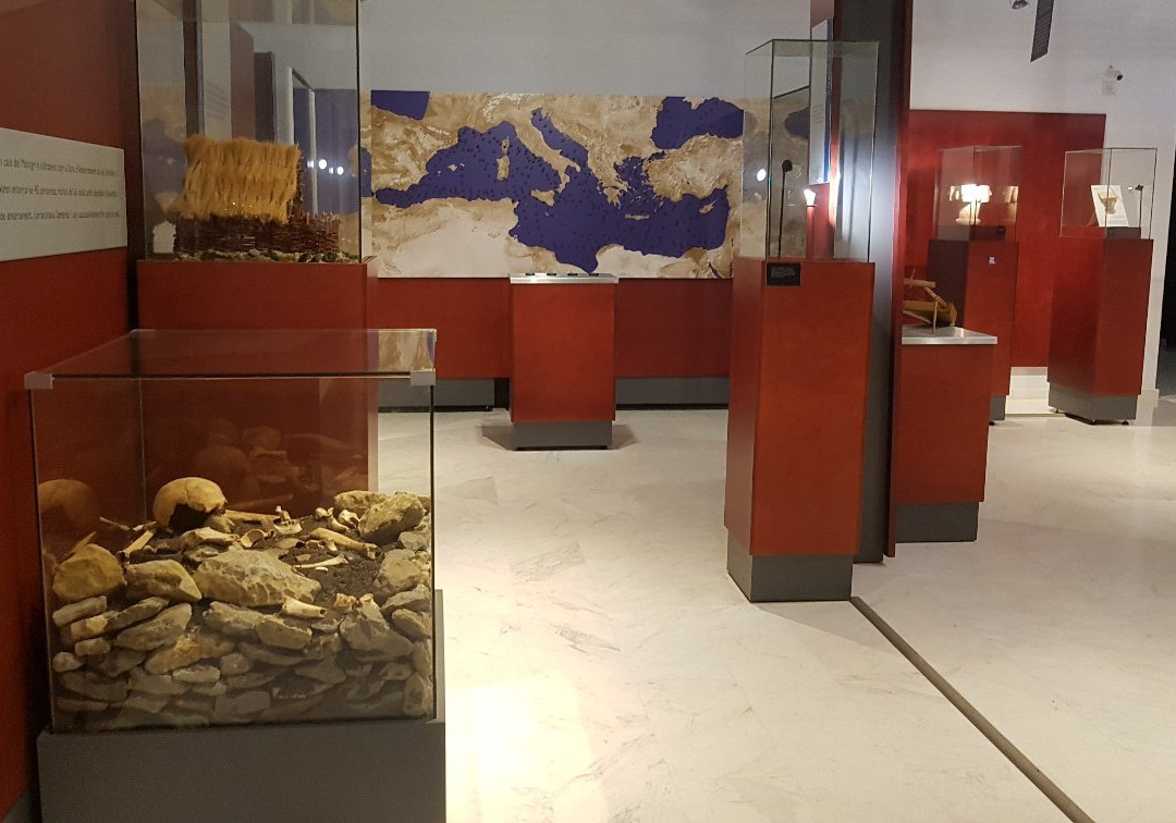 Museu de la Mediterrània景点图片