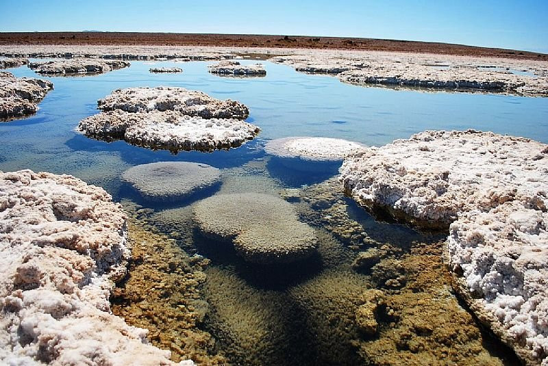 Tarapaca Region旅游攻略图片