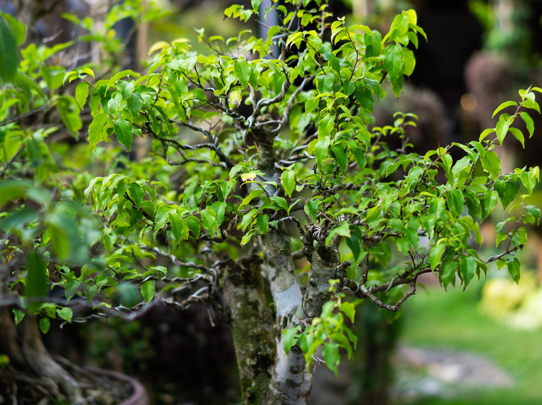 Gwandalan House主图