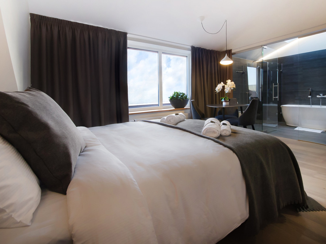 Radailiai酒店住宿-Dange Hotel
