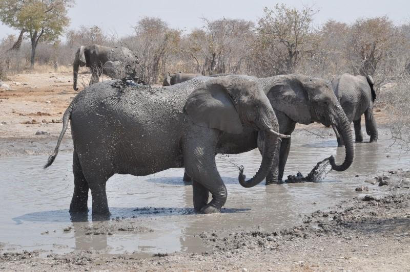 NIT-温德和克必去景点