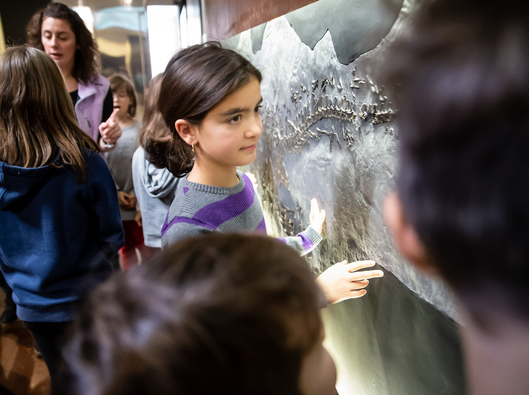 Museo dei fossili del Monte San Giorgio-Meride必去景点