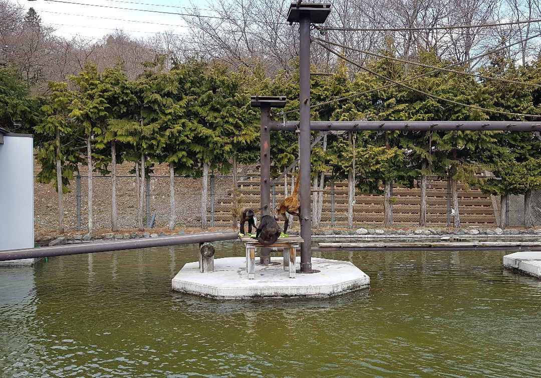 Nagano Chausuyama Zoo-长野县必去景点