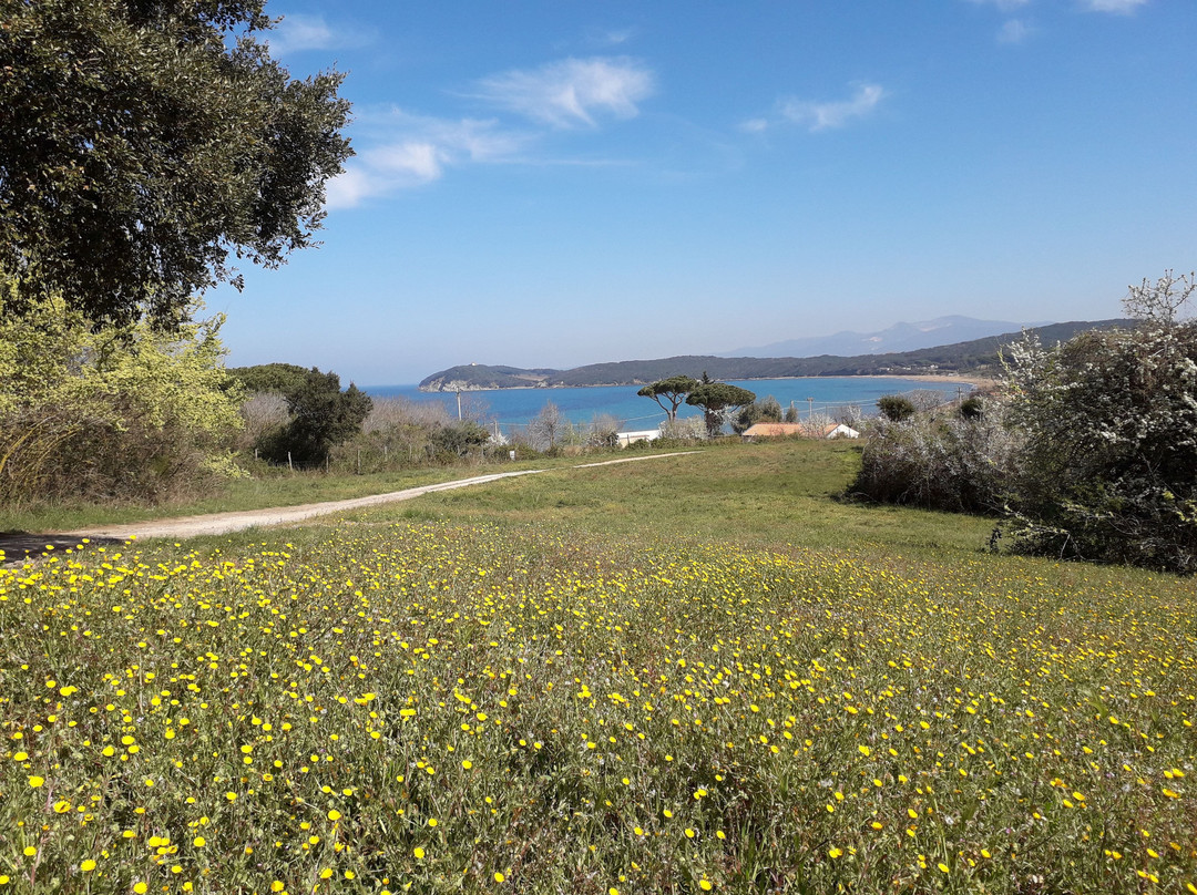 Baratti and Populonia Archeological Park景点图片