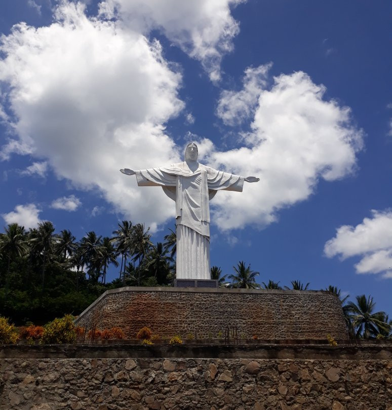 Statue of Jesus the Redeemer景点图片