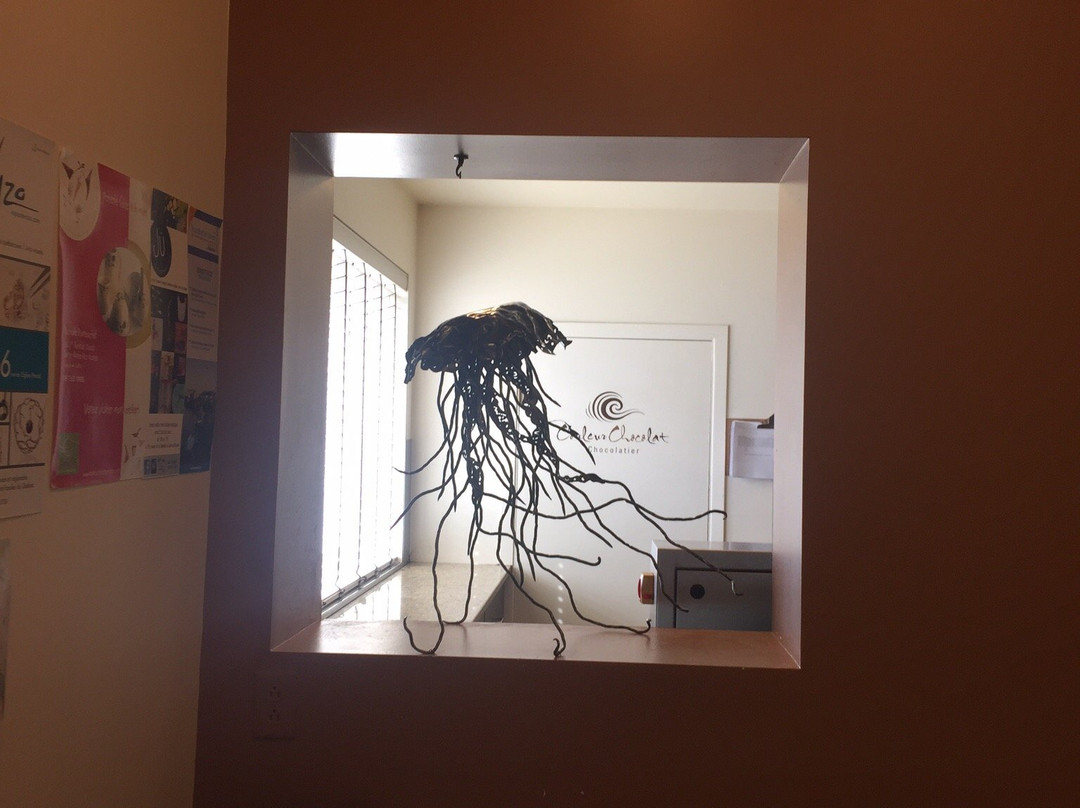 Couleur Chocolat - ÉCONOMUSÉE du Chocolatier-Sainte Anne des Monts必去景点