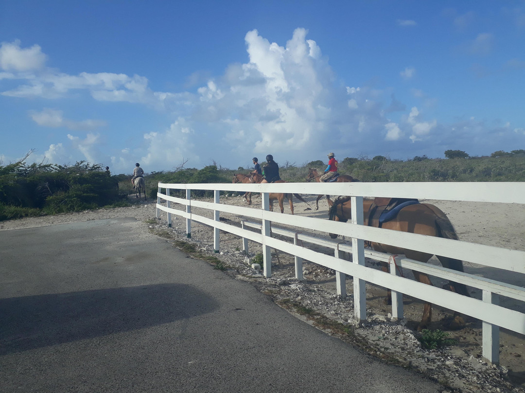 ANC Taxi and Tours-Cockburn Town必去景点