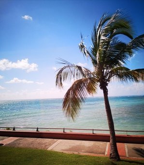 Notre Dame de Guadaloupe-Pointe-a-Pitre必去景点