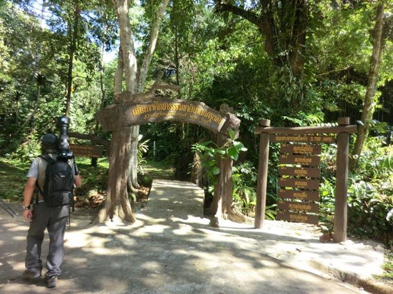 Krung Ching Waterfall景点图片