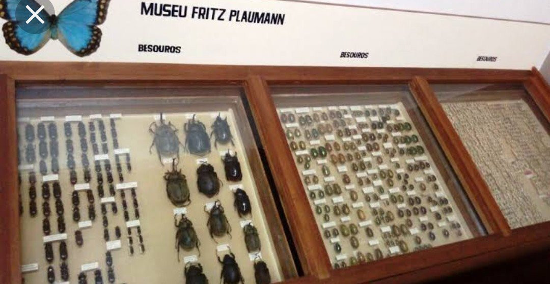 Museu Entomológico Fritz Plaumann-Seara必去景点