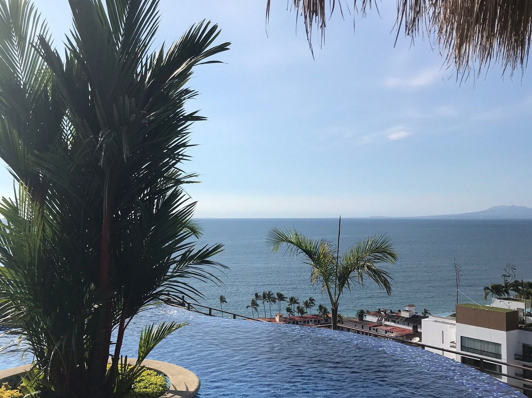 Signature Lounge Bar-瓦拉塔港必去景点