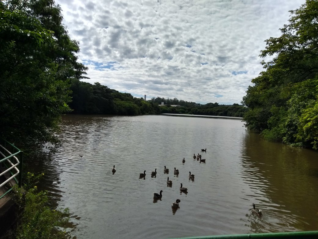 Parque Ecologico Prof. Hermogenes de Freitas-坎皮纳斯必去景点