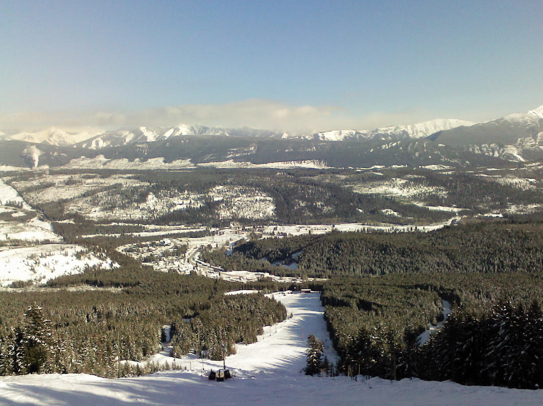 Holley Lane Bed and Breakfast主图