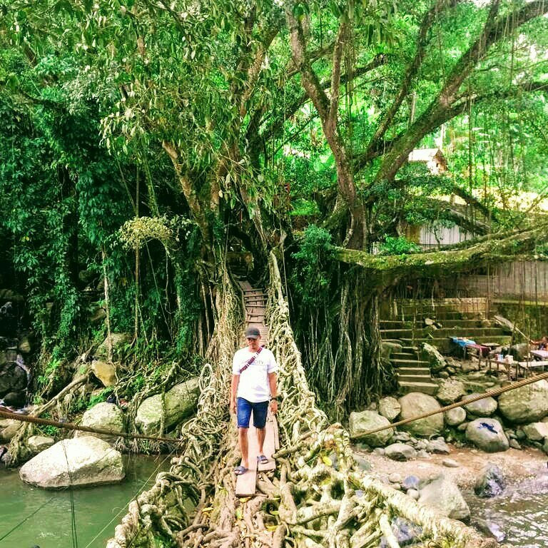 Bayang Root Bridge-South Pesisir必去景点