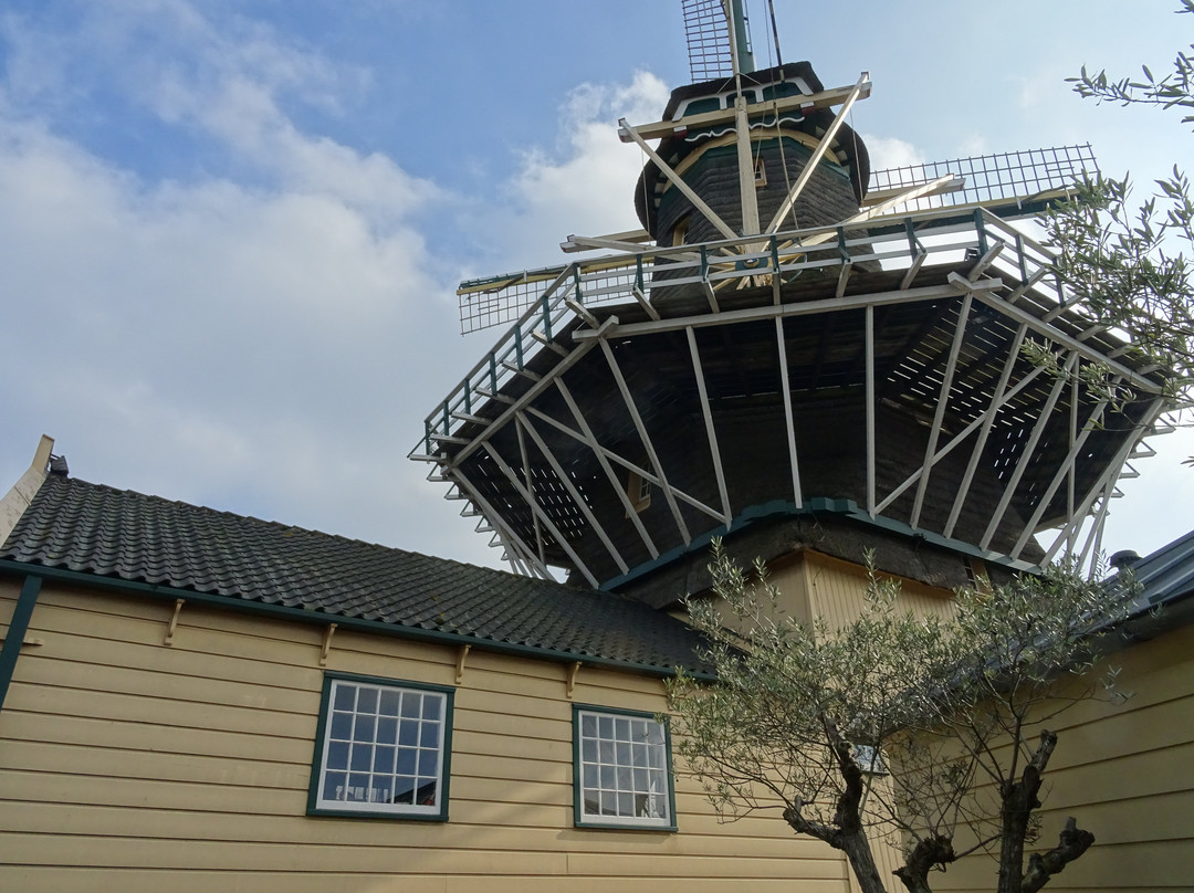 Houtzaagmolen de Heesterboom-莱顿必去景点