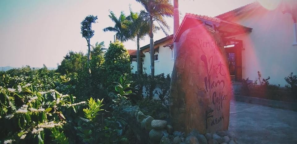 越南咖啡产地 (V'ori咖啡)-托伯莫里必去景点