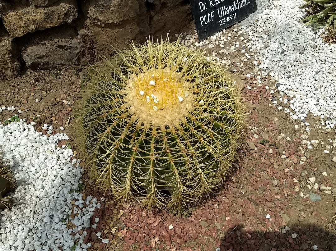 Himalayan Botanical Garden景点图片