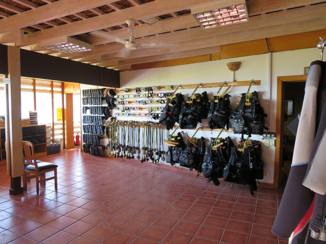 Sea Dancer Dive Resort-达哈卜必去景点