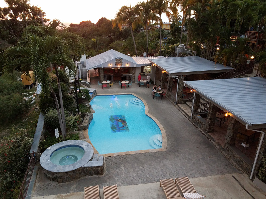 懒鹦鹉酒店主图