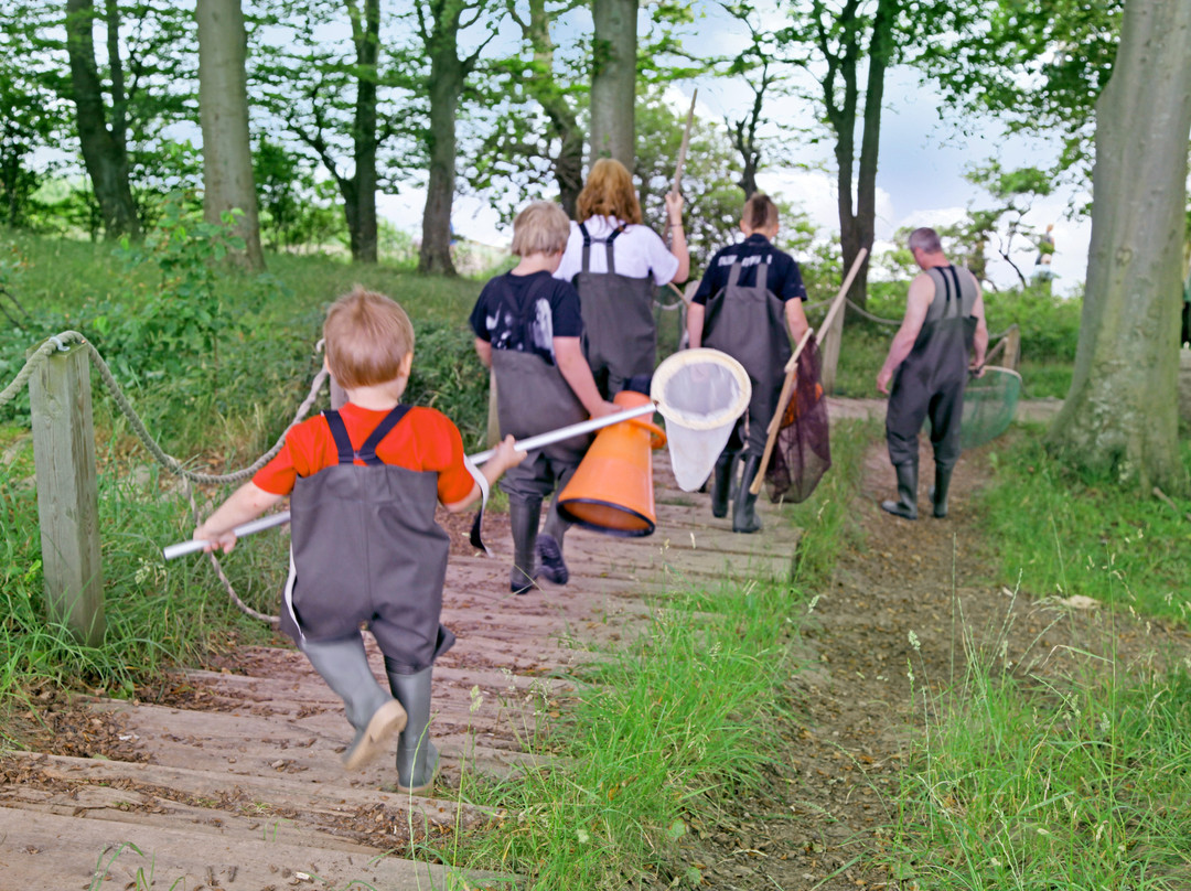 Landal GreenParks Feriepark Middelfart主图