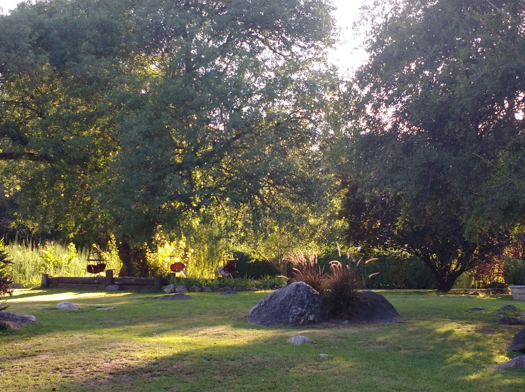 Puesto Victoria主图