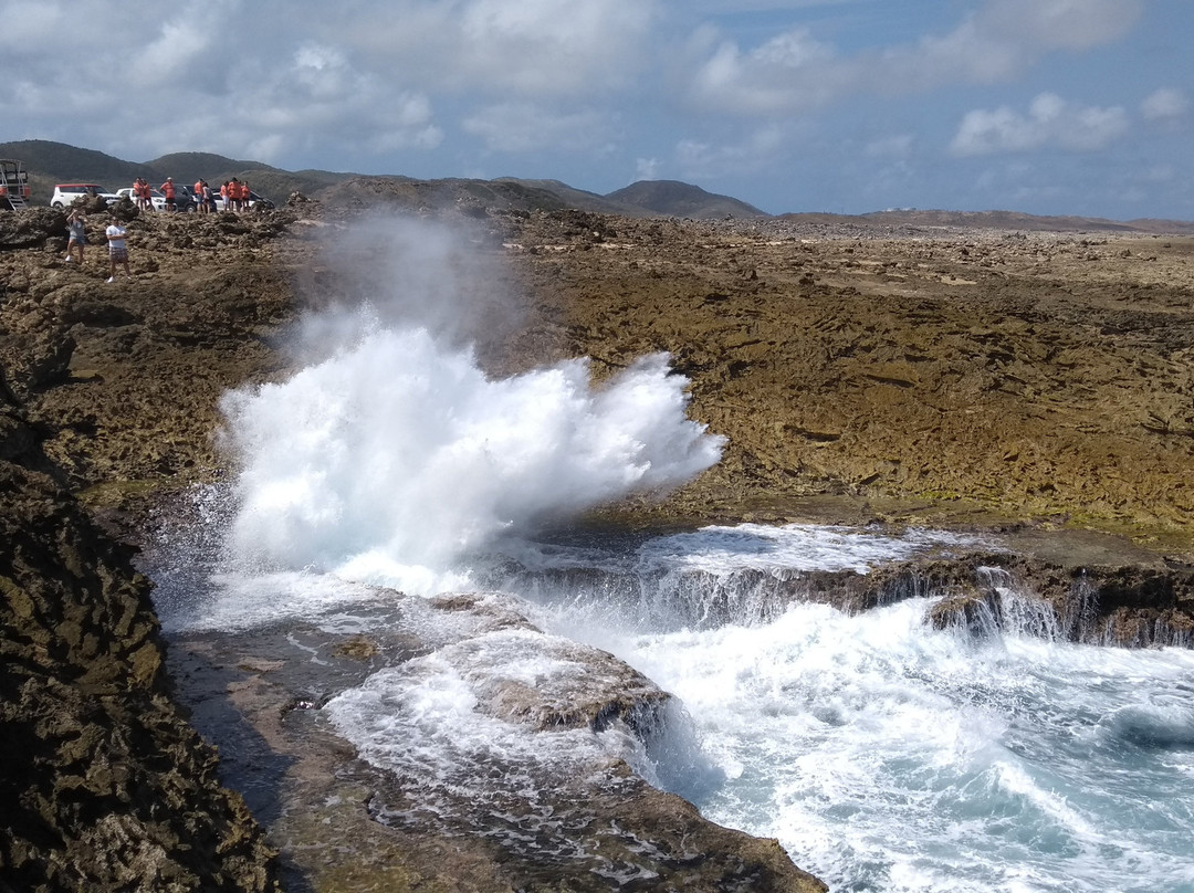 Blue Angel Tours-Sint Willibrordus必去景点